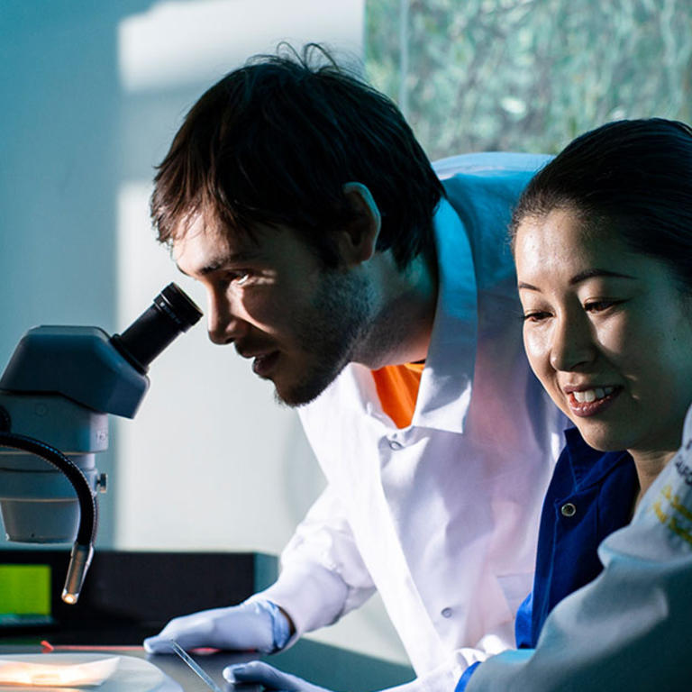 students in the lab